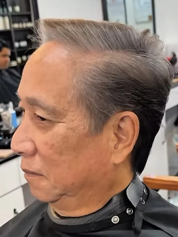 Corte de caballero con canas peinadas